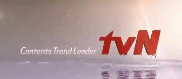 tvN收视前十的韩剧，“请回答”导演霸榜